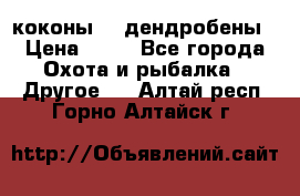 коконы    дендробены › Цена ­ 25 - Все города Охота и рыбалка » Другое   . Алтай респ.,Горно-Алтайск г.